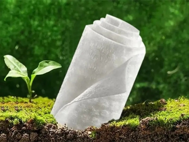 Wet Wipes Industry Transitioning To Green