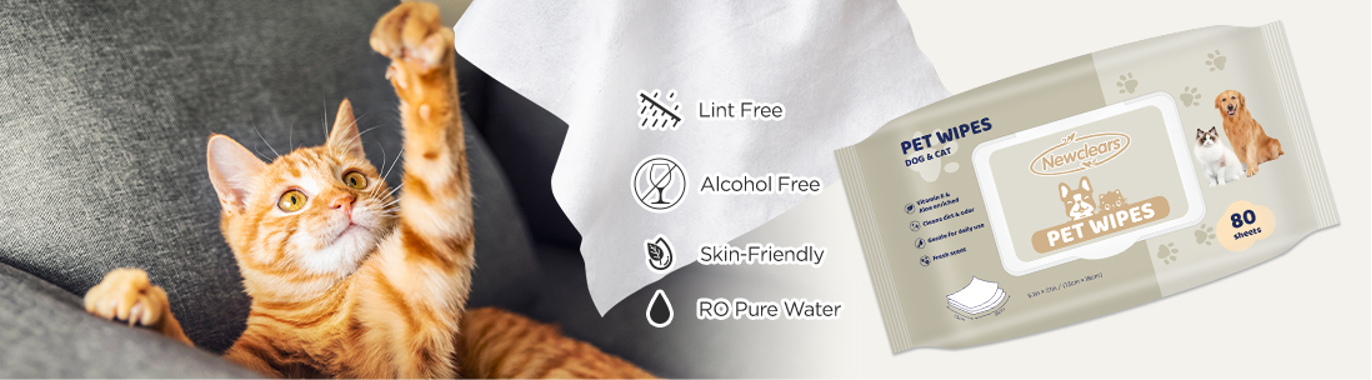 aed95f28-6f5e-46ce-b1ba-ab0b844fda8d