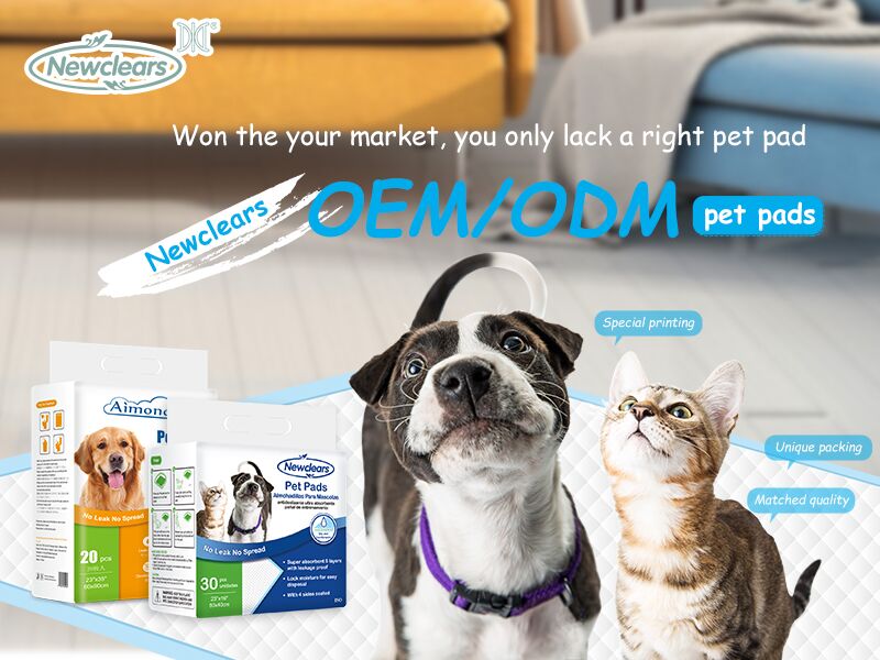 Koiran kouluttaminen pissatyynyjen käyttöön | Newclears