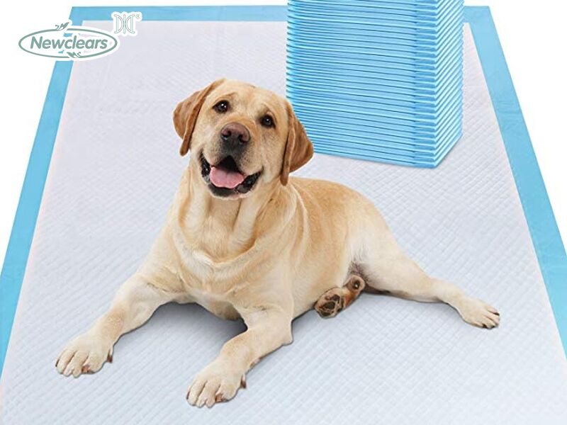Ama-pet pad e-Whosales.jpg