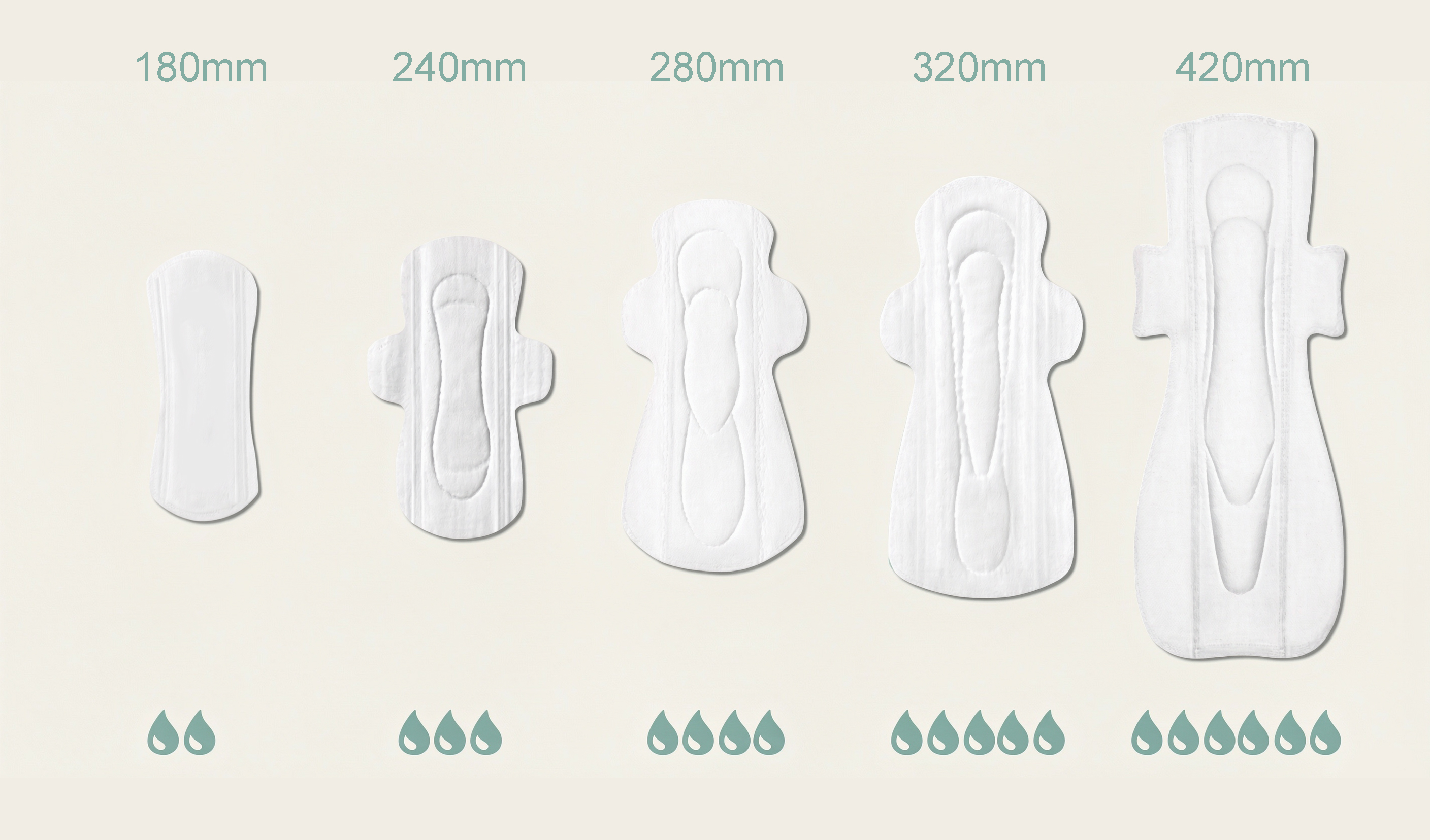 Premium Sanitary Napkin (5)