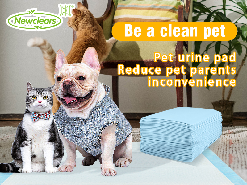 Εργοστάσιο υποστρωμάτων της Κίνας