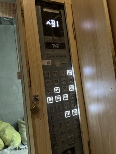 213.jpg