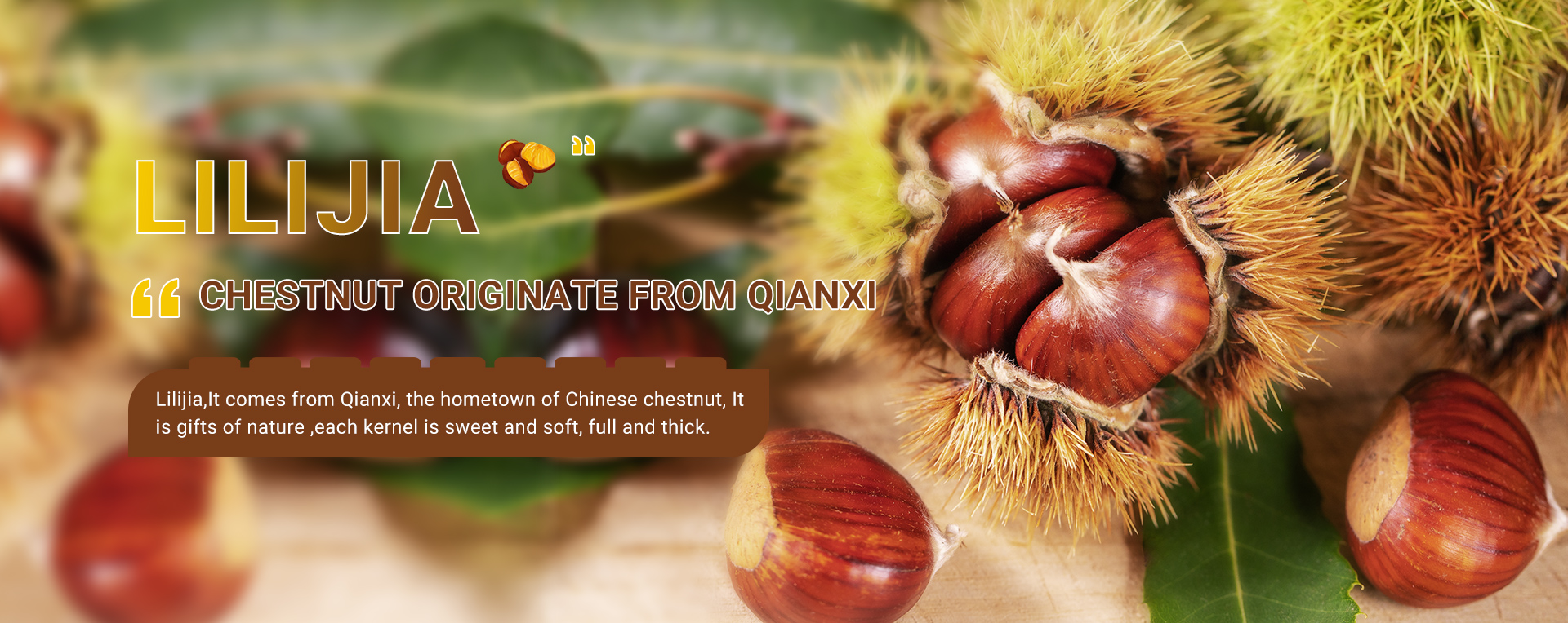 CHESTNUT ORIGINATE FROM QIANXI