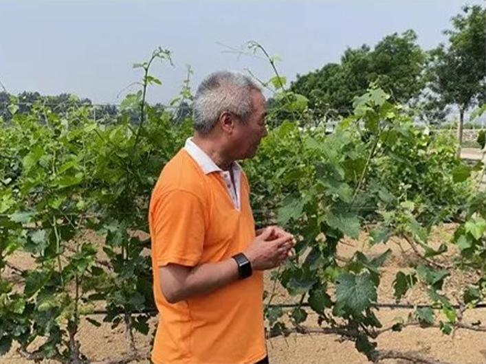The Robot Training Event For Vineyards In Fangshan District Was Successfully Held At The Annual Wineryirh