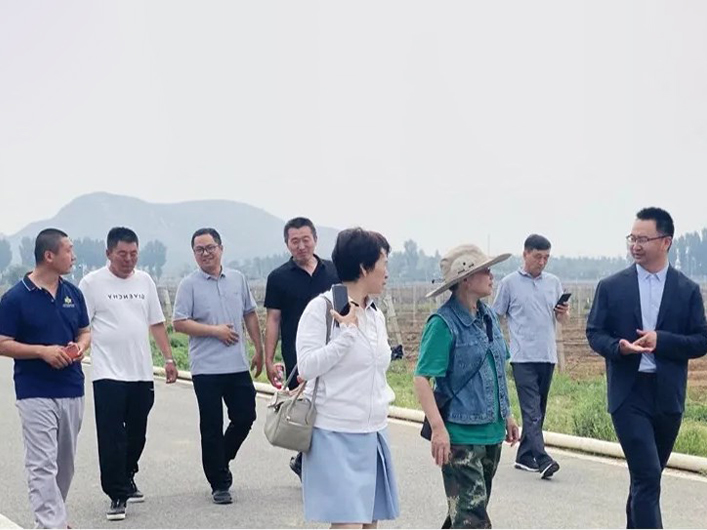The Robot Training Event For Vineyards In Fangshan District Was Successfully Held At The Annual Winery4dj