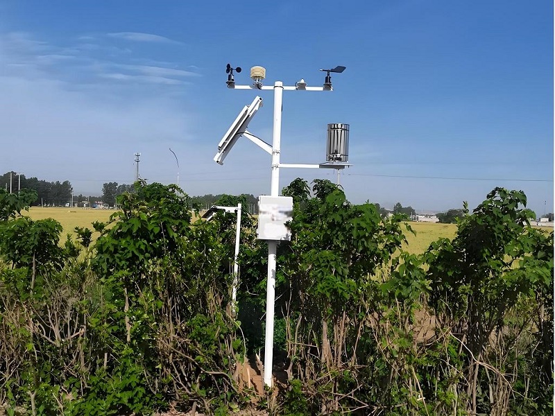 Weather Steward" in the Fields: Driving the Smart Upgrade of Modern Agriculture