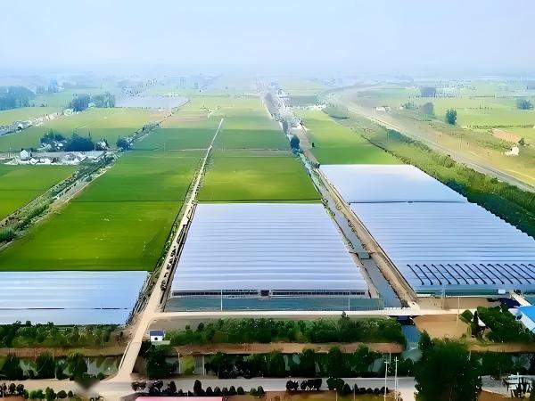 Agricultural Machinery Innovation from a Sustainability Perspective: More Fuel-Efficient, More Eco-Friendly Solutions