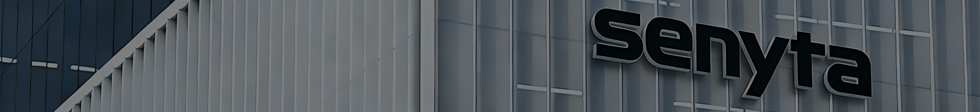 10 Essential Tips for Choosing the Best Sowing Machines in 2024