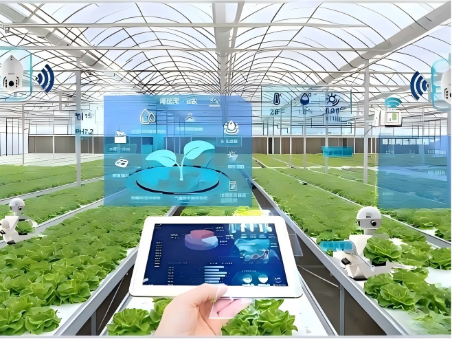 A New Chapter in Smart Agriculture: How Intelligent Weather Stations Empower Modern Farmers