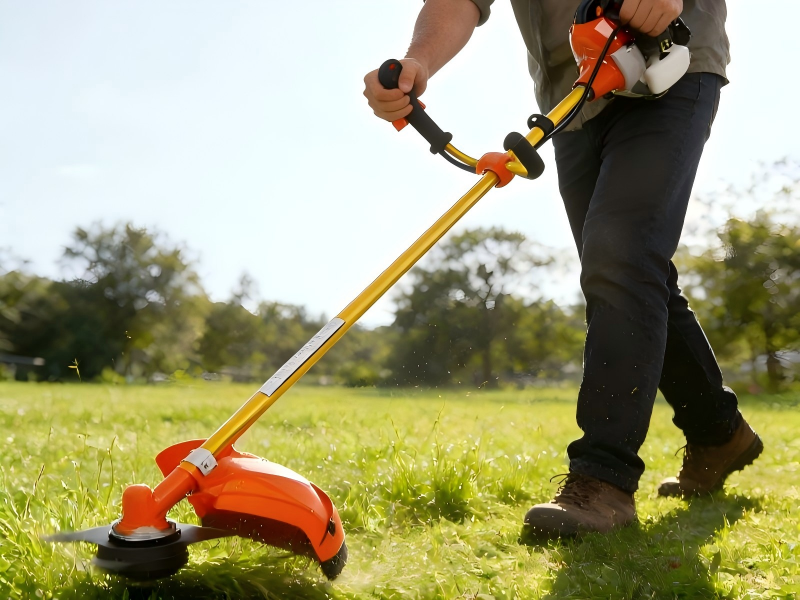 Still worried about clearing shrubs?