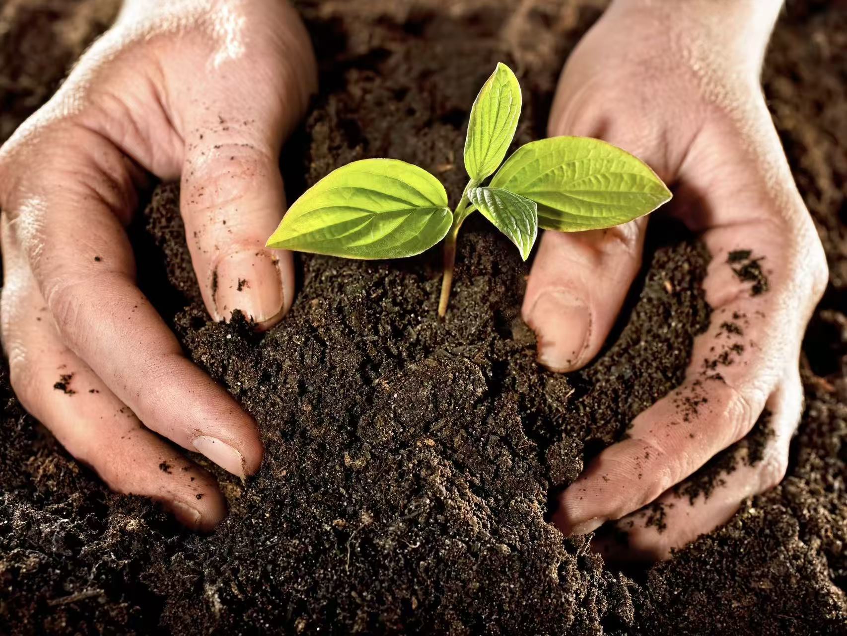 Every Field Begins with Soil: How Smart Agriculture Helps Protect the Foundation of Farming