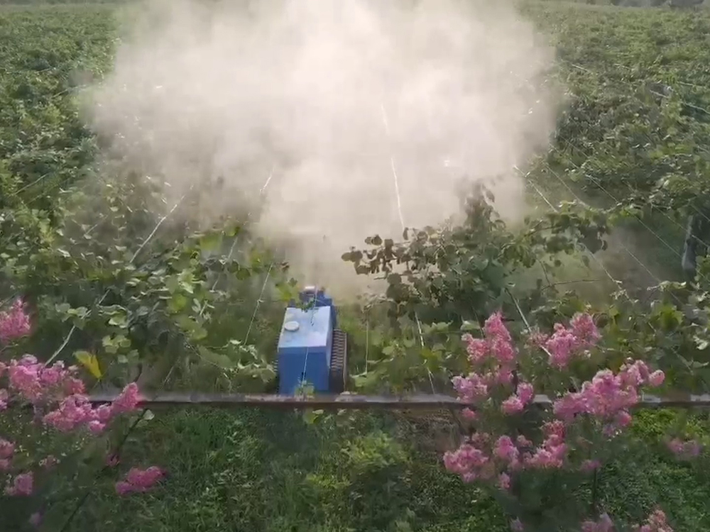 Robots Agricultural Smart: Eco-Friendly Green Solutions