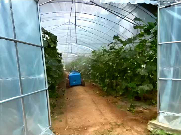 Roboti rekuchengetedza zvirimwa reAkangwara 3W-120L Rinoonekwa muMichero yeGreenhouse, Zvichiita Kuti Kupfapfaidza Kuve Nyore Kuvarimi!