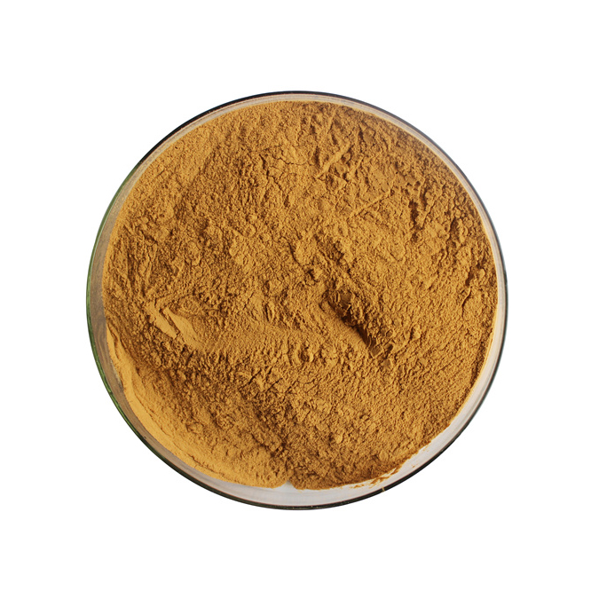 Chinese Traditional Herb Siberian Ginseng Extract Suppliers Organic Ginseng Extract 2% 5% Eleutherosides detail (2)v3d