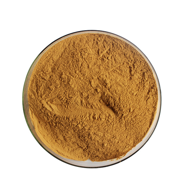 Pure Natural Honeysuckle Flower Extract powder Honeysuckle 5% 98% Chlorogenic Acid  detail (1)e2h