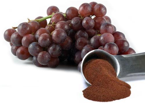 Grape Seed Extract OPC1rmn