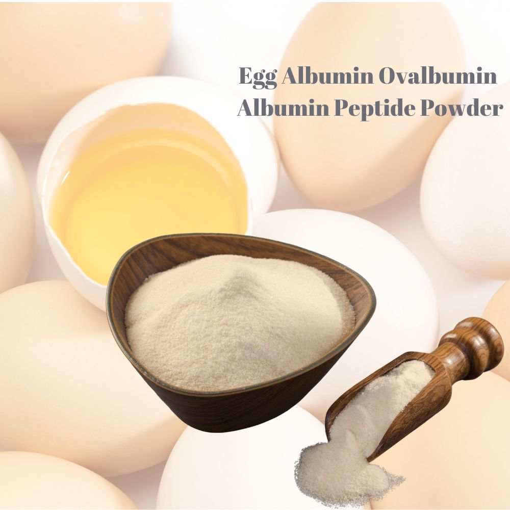 Albumin Peptide1