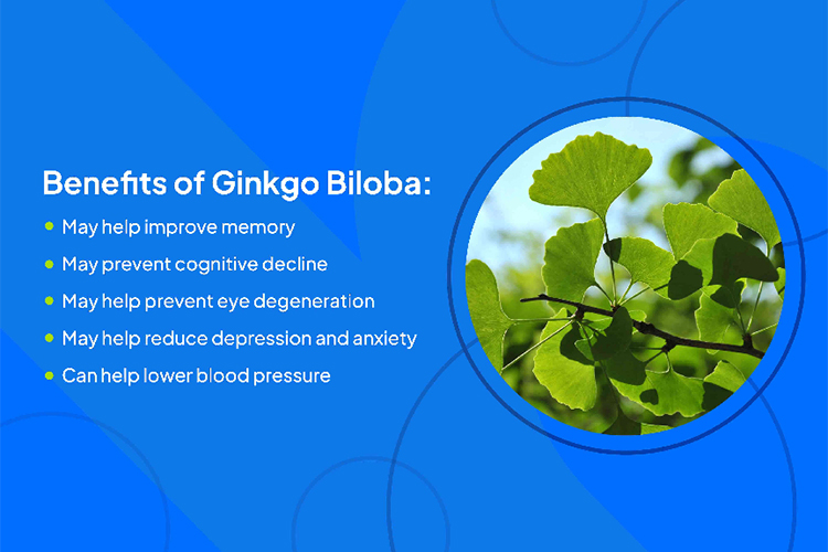 Revolutionize-Your-Brain-Health-with-Ginkgo-Biloba-Extract-2