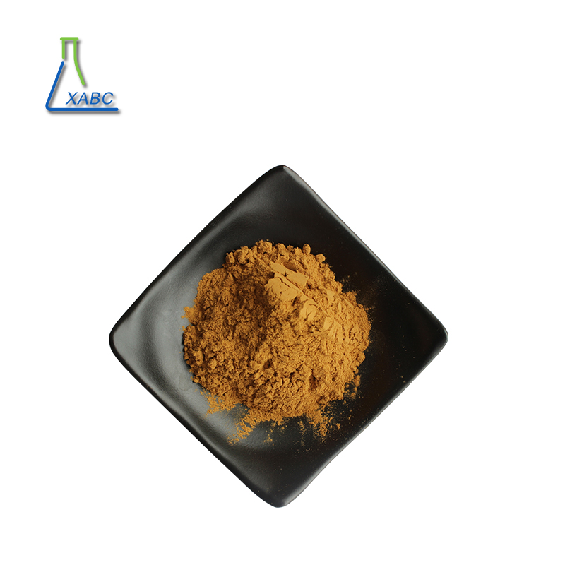 Pure Natural Honeysuckle Flower Extract powder Honeysuckle 5% 98% Chlorogenic Acid