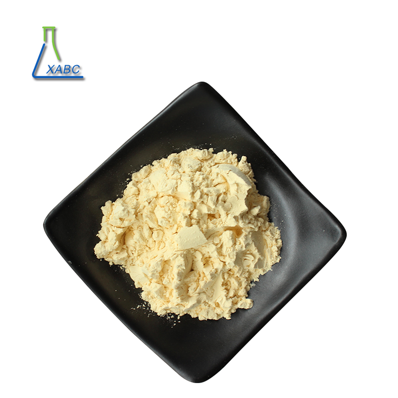 Natural Chinese Panax Ginseng Extract 80% Ginsenoside  Powder