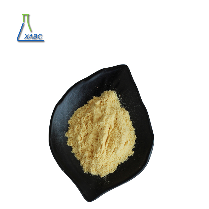 Wholesale Bulk Price Food Grade Pure Supplement Fisetin Extract Powder Fisetin 98%