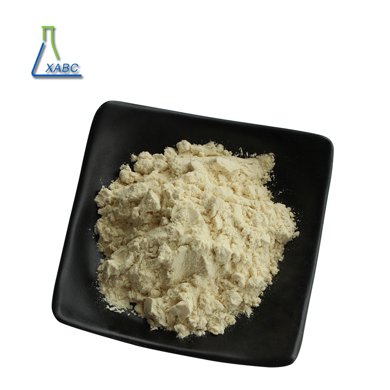 Baicalin Top Quality 21967-41-9 Baicalin Powder 85% Baicalin Baikal Skullcap Root Extract