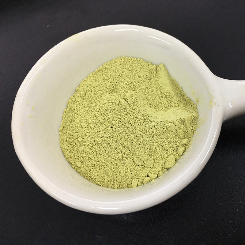 Best Price Rutin Nf11 95% Rutin Powder Sophora Japonica Extract