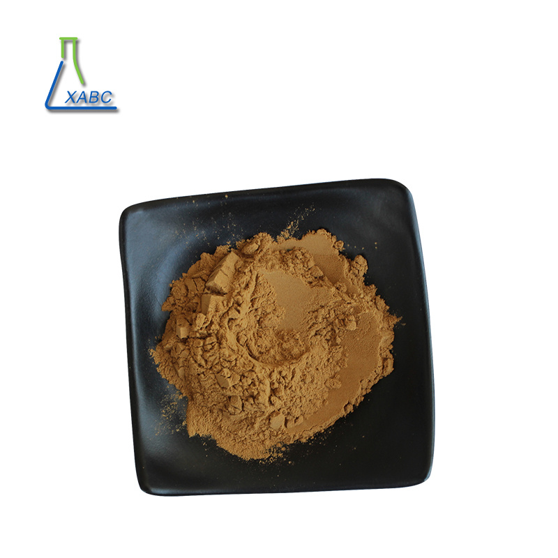 High Quality Newgreen Extract Hot Selling Best Price Extract Tanshinone