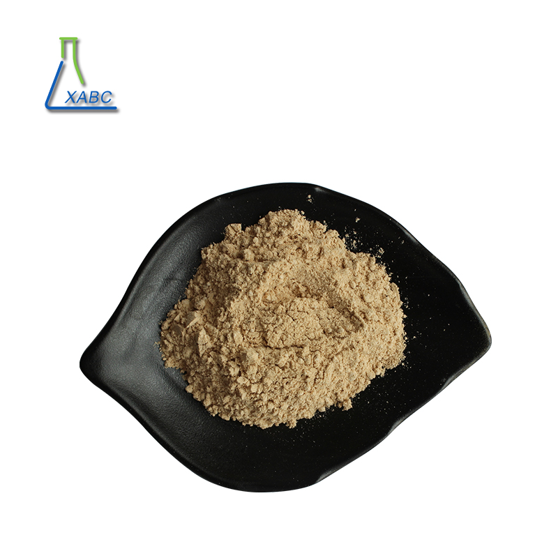 Monk Fruit Sweetener Mogroside V 25%-75% Luo Han Guo Extract Powder Monk Fruit Extract