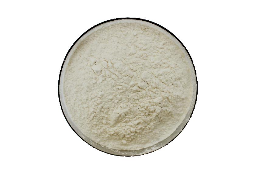 Sodium hyaluronate, "pemimpin" industri pelembap