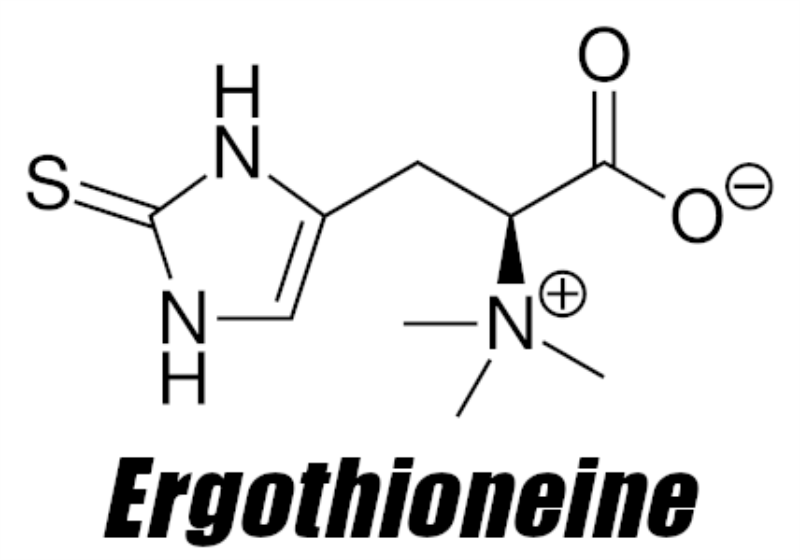 "Sức mạnh của Ergothioneine Chất chống oxy hóa tự nhiên cho sức khỏe và sắc đẹp"