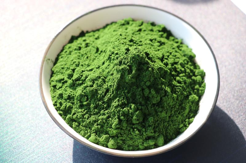 Chlorella: A Highly Nutritious Aquatic Plant