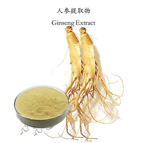 Extracto de ginseng: el superalimento definitivo para una vida equilibrada y vibrante