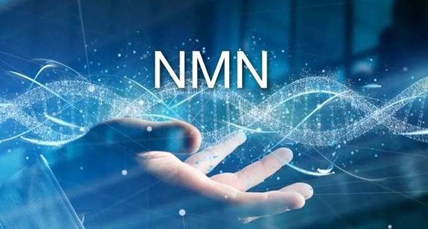 Breakthrough in Anti-Aging Research: NMN Emerges as a Promising Compound