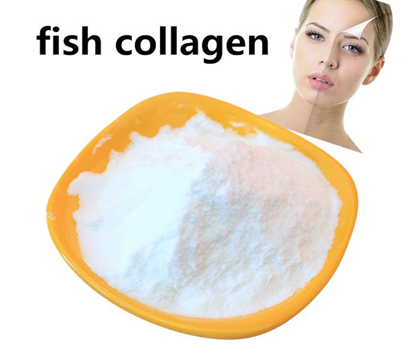 Collagen: The Wonder Ingredient Revolutionizing Health and Beauty Industries