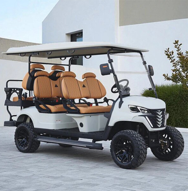 club car micro switch