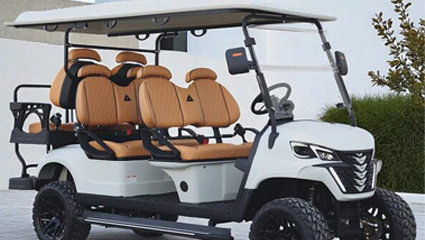 club-car-microschakelaar