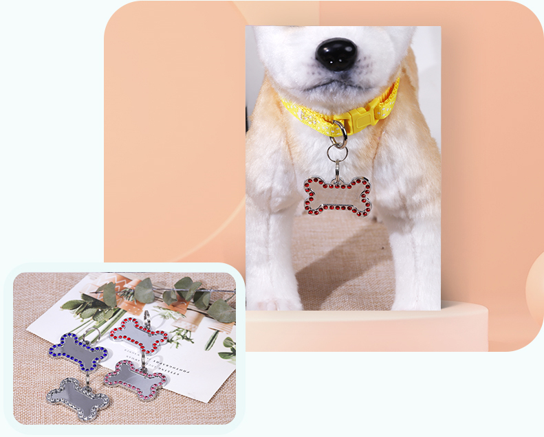 Exquisite Dog Tag (5)kxi