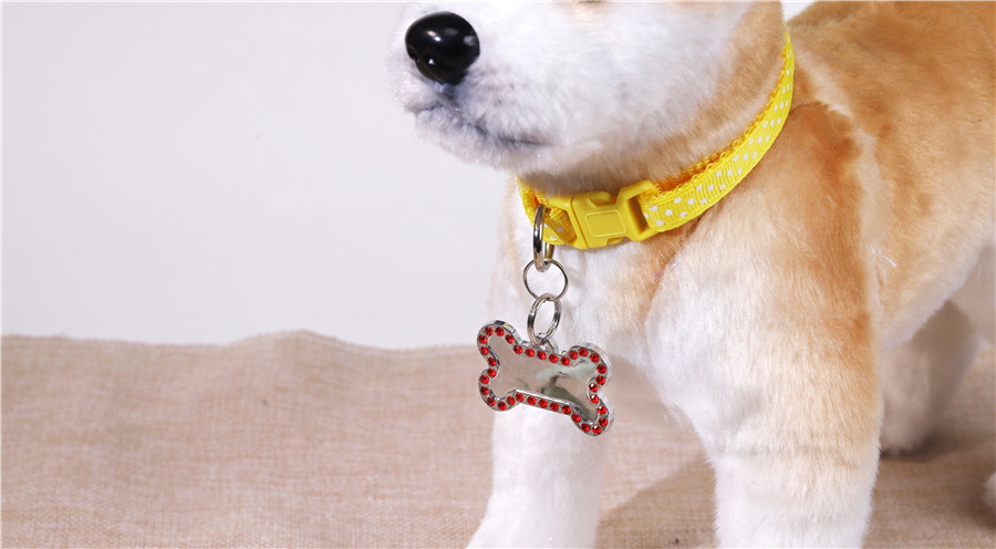Exquisite Dog Tag (6)gdr