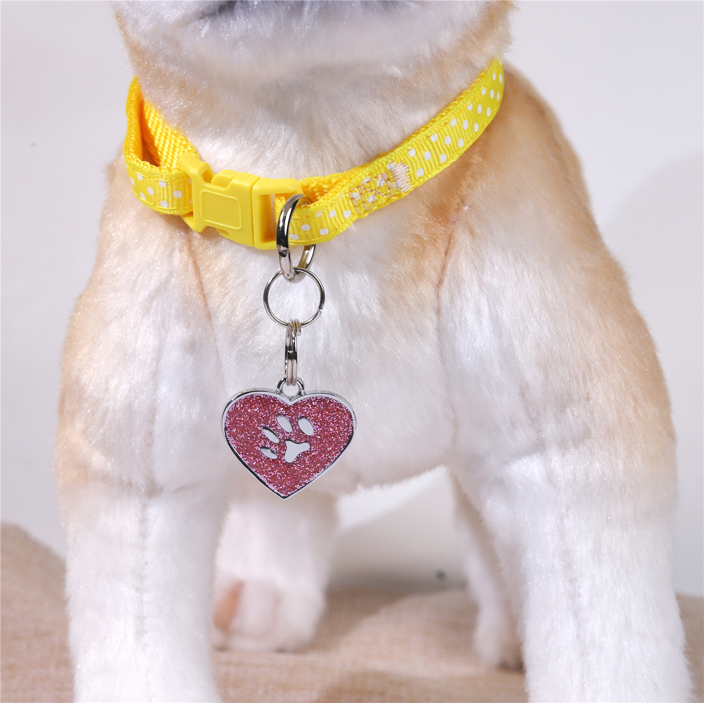 Paw Print Dog Tags (9)6h9