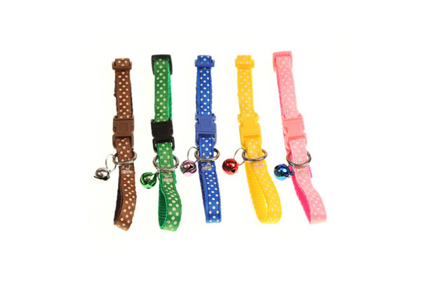 Pet Collars (10)epw