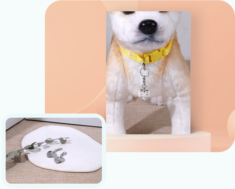 Pet Tag (6)3ai
