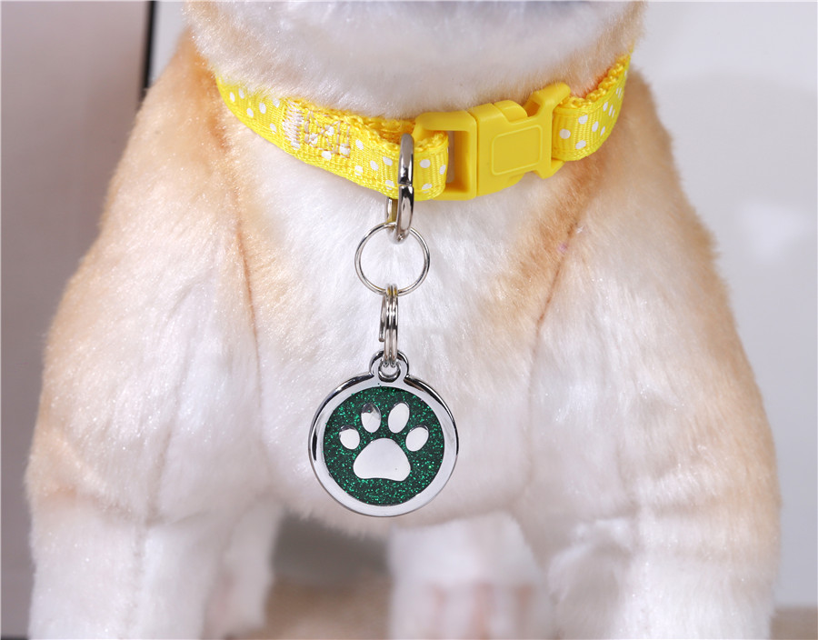 Stunning Dog Tag (15)np5