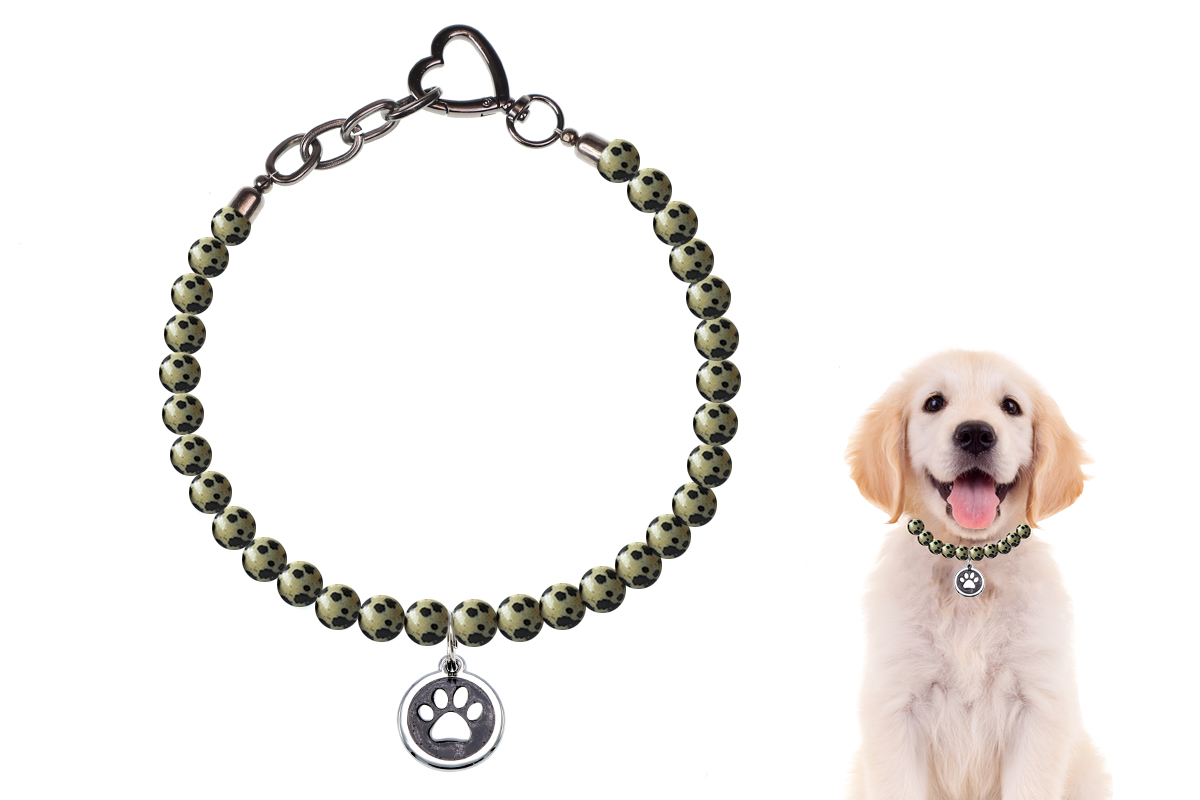 dalmatian jasper-1