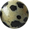 dalmatian jasper