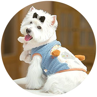 pet apparel (2)