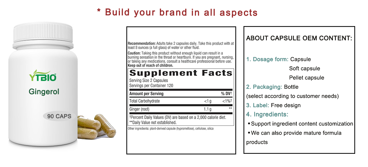 gingerol-capsules