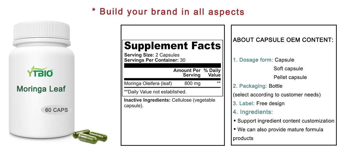 moringa-leaf-capsules-1
