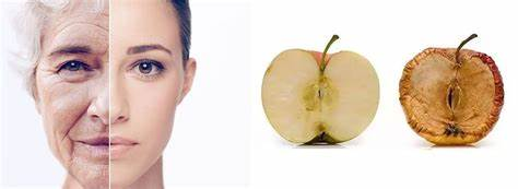 What is roxburgh rose extract